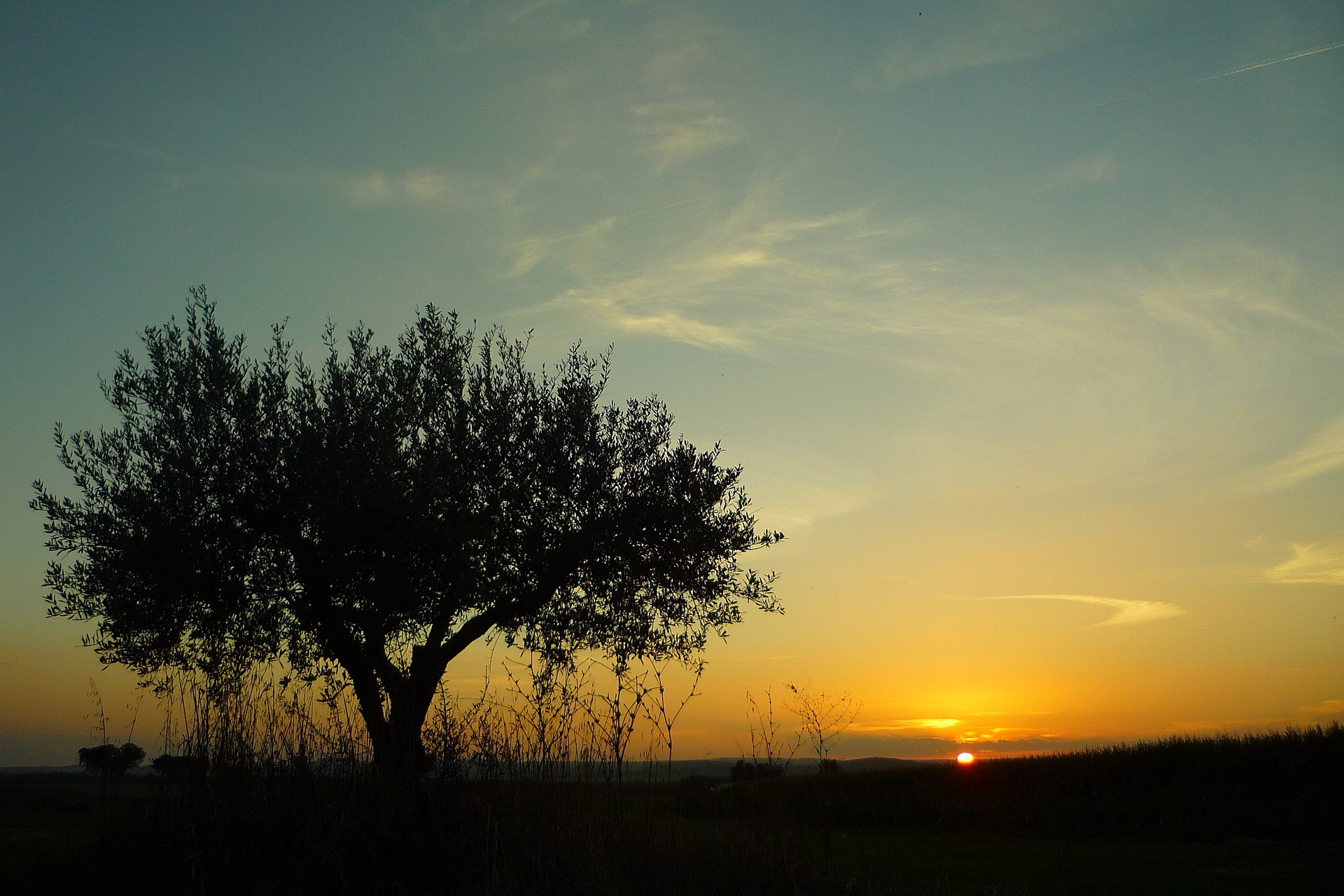Alentejo 33 - 2