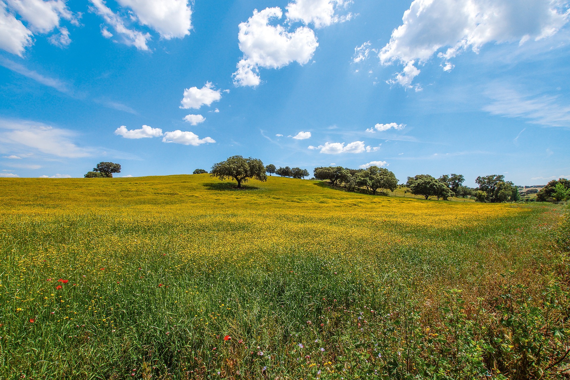 Alentejo 33 - 3