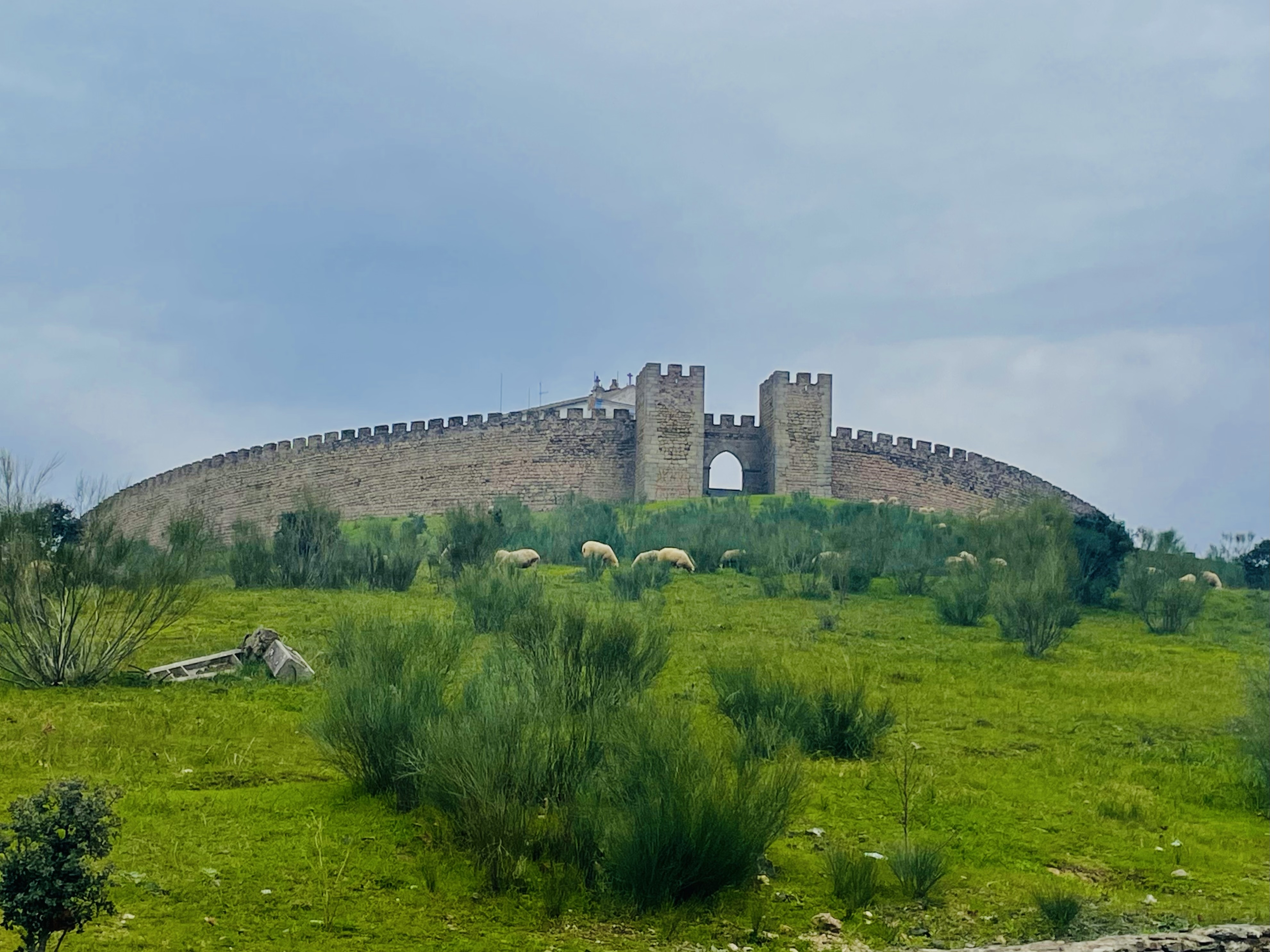 Alentejo 33 - 4